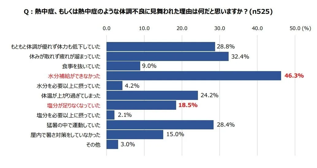 画像17