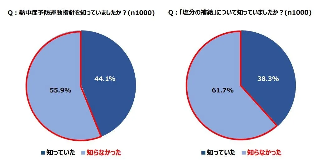 画像14