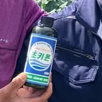 スキーポンが韓国で話題