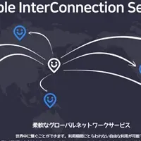 スホの新サービス『Flexible InterConnection』