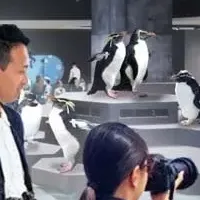 親子で作る水族館ムービー