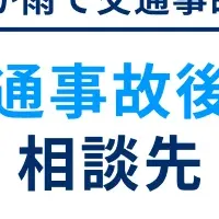 雨天時歩行事故の実態