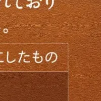 「革」「レザー」定義改定