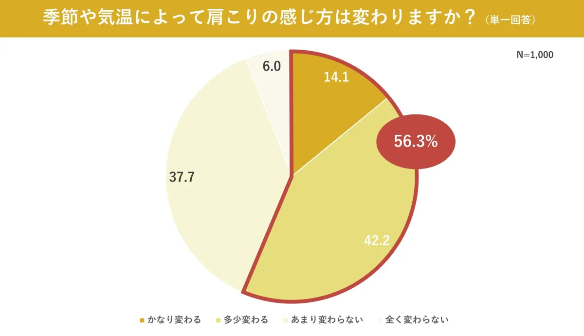 画像14