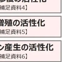 休止期線維芽細胞の活性化