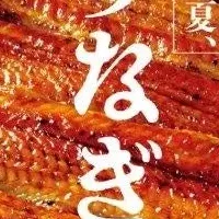 夏のうなぎ特集！