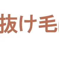 夏の頭皮トラブル増加