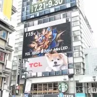 TCL×3D秋田犬コラボ