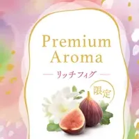 消臭力 Premium Aroma リッチフィグ