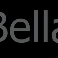 BellaDatiが萩原グループに参画