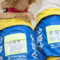 介助犬研修生募集開始！