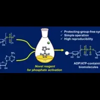 ADP・ATP合成法開発