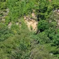 金山の世界遺産登録