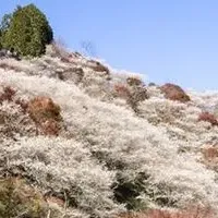 豊田市の秋ツアー