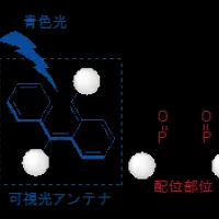 サマリウム還元技術