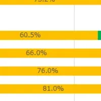 オンライン詐欺調査