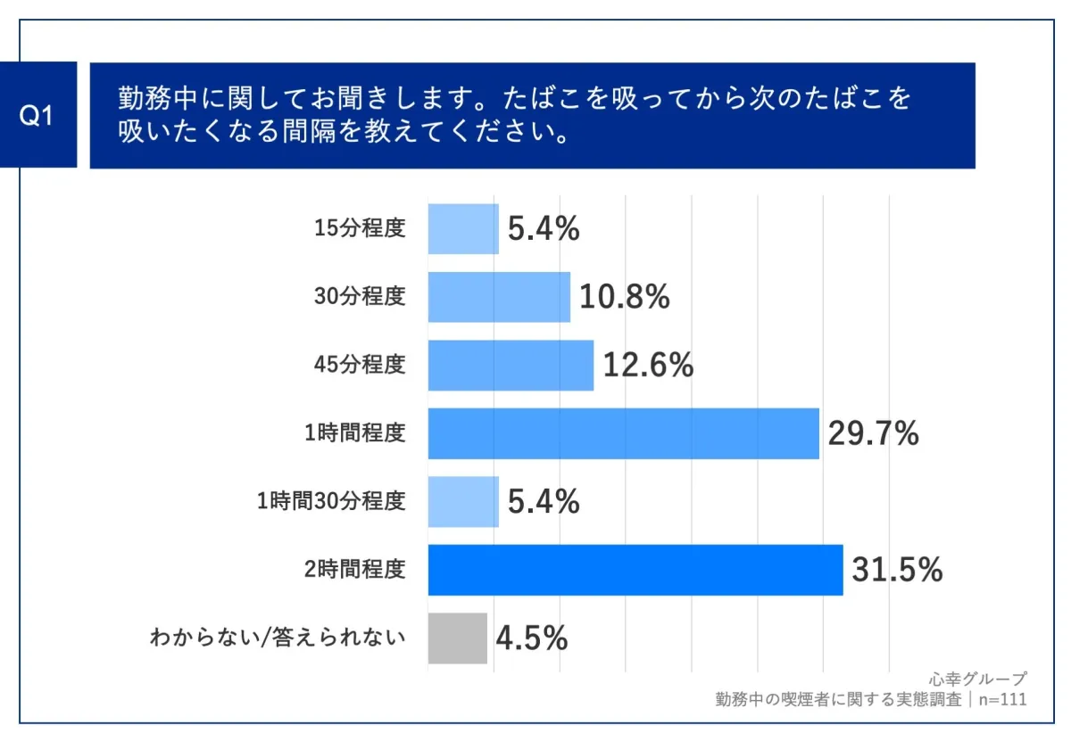 画像12