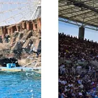 水族館と海の仲間