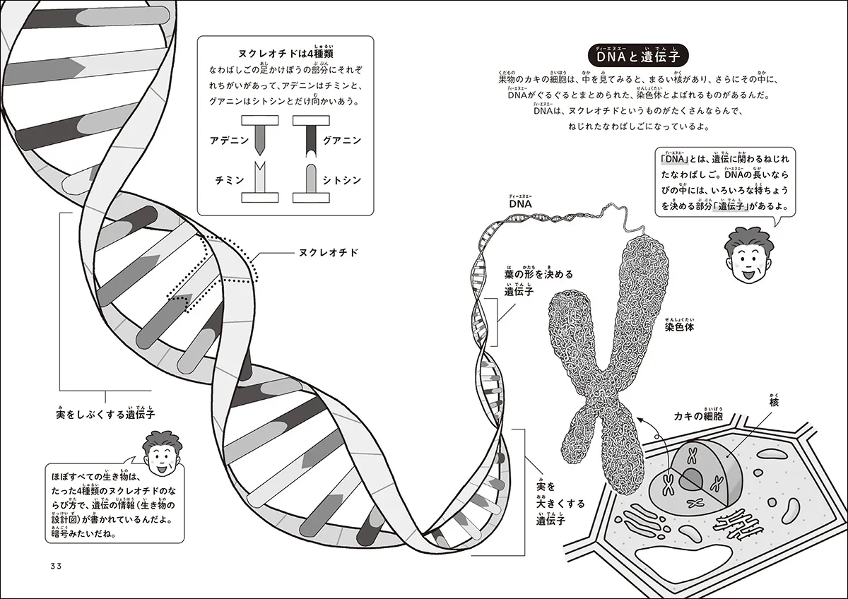 画像5