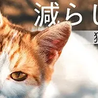 猫のくらしプロジェクト