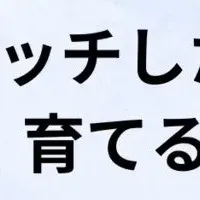 新卒採用セミナー