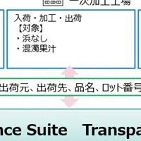 IBMとキリンの新プロジェクト