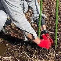 紀伊半島バイオマス事業