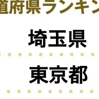 株式投資の実態調査