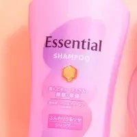 Essentialのリニューアル