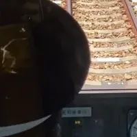 名鉄電車運転体験