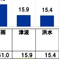 災害時の頼り