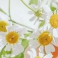 心温まる花贈り