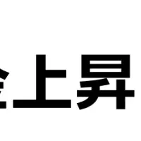 家計のゆとり問題