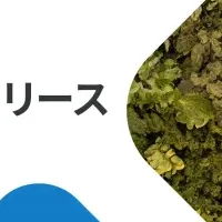 業務提携で新サービス