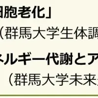 群馬大学のオンライン講座