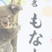 コアラの赤ちゃん命名式