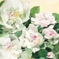 柘植彩子作品展