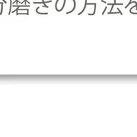 自分磨きの秘訣