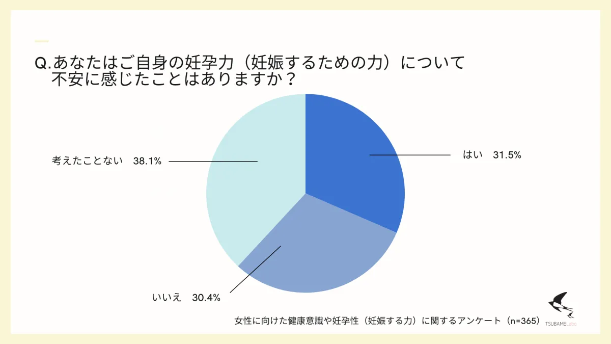 画像13