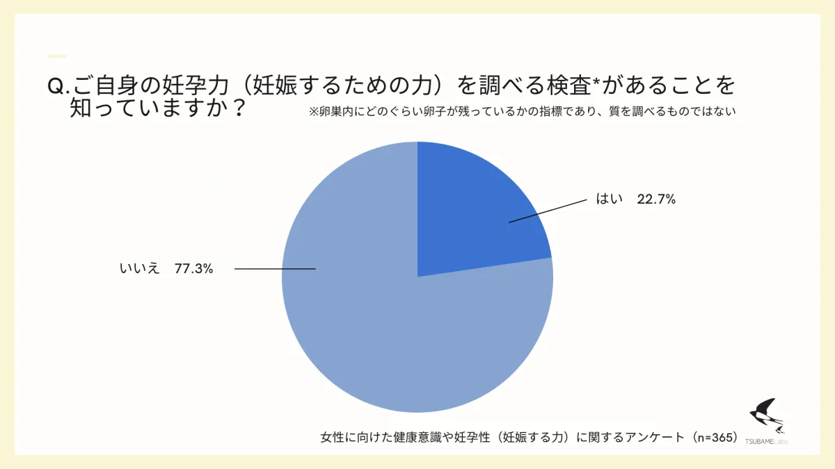 画像12