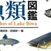 琵琶湖の魚類図鑑