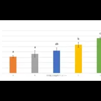 咀嚼能力検査の新しい研究