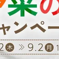 8月31日は野菜の日