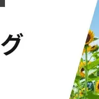 注目の夏ドラマ