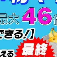 夏物特価セール