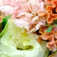 秋の花と敬老の日ギフト