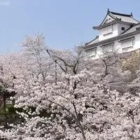 津山ふるさと納税