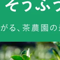 新緑茶「そうふう」