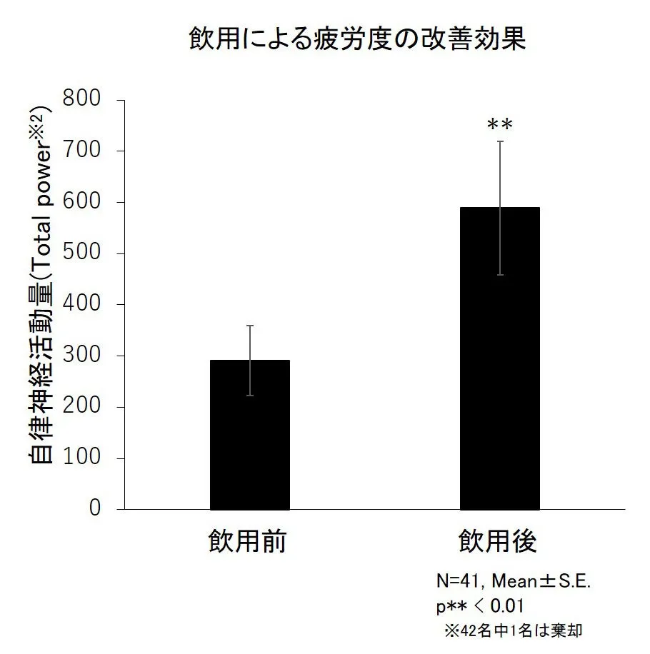 画像14