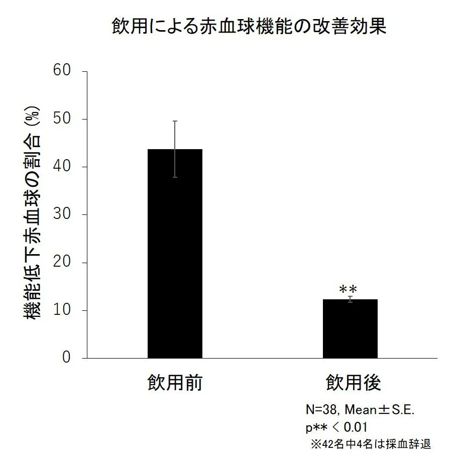 画像12